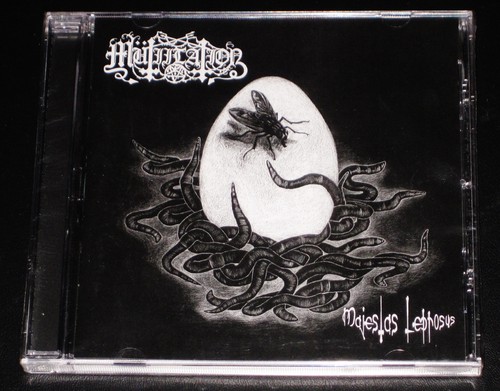 Mutiilation majestas leprosus - mutiilation:,